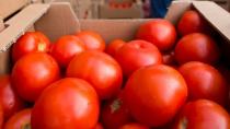 Ντοματόξιδο από ντομάτες της Ιεραπέτρας που πήγαιναν στη χωματερή