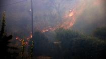 Ελλάδα: Συνεχίζεται η μάχη με τις φλόγες σε πολλά πύρινα μέτωπα