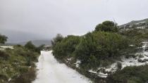 Κίνδυνος για ελιές και αμπέλια που επλήγησαν απο το χαλάζι
